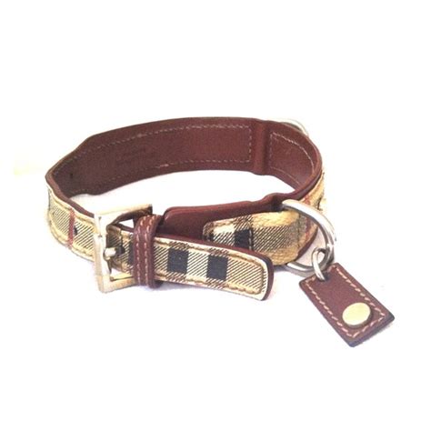 burberry dog collar authentic.